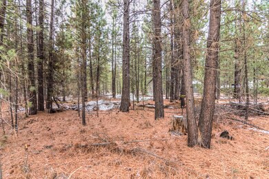 16907 Covina Rd, Bend, OR 97707 - photo 6