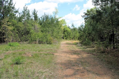 TBD Crooked Creek Rd, Chapin, SC 29036 - photo 2