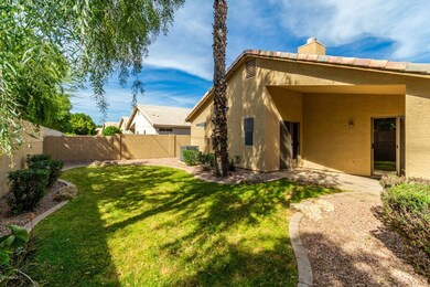 BACK YARD AND HOUSE