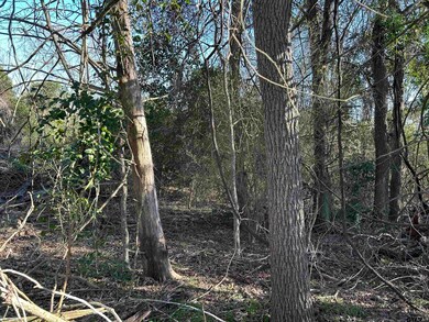 TBD County Road 3324, Pittsburg, TX 75686 - photo 4