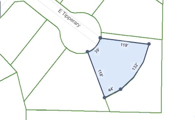 1006 E Tipperary Ct, Nixa, MO 65714 - photo 3