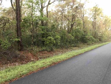 xx White Oak Dr, Crawfordville, FL 32327 - photo 5