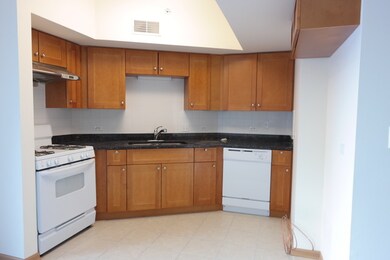 2322 S Canal St unit 709, Chicago, IL 60616 - photo 2