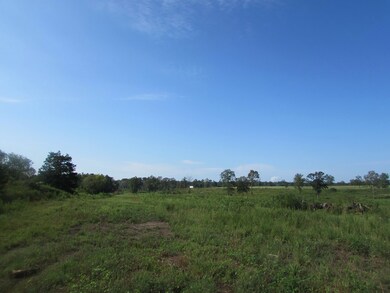 000 Jenkins Rd, Blakely, GA 39823 - photo 2