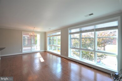 815 N Patrick St unit 202, Alexandria, VA 22314 - photo 3