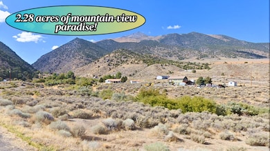 108 Toquima Way, Austin, NV 89310 - photo 2