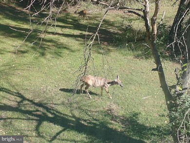 238 E Ridge Loop Rd, Romney, WV 26757 - photo 3