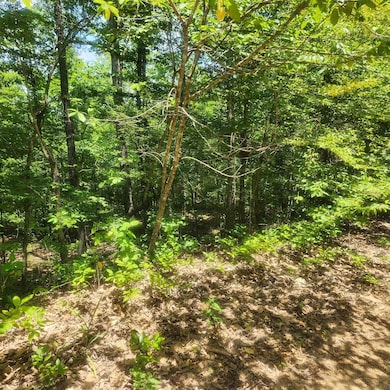 L-27, B-15 Goti Dr, Cherokee Village, AR 72529 - photo 4