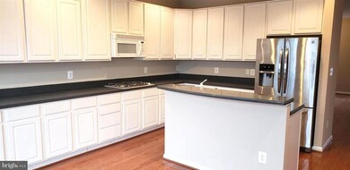 9037 Ribbon Falls Loop, Bristow, VA 20136 - photo 5
