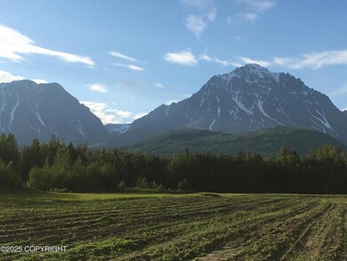 24220 E Bannon Way, Sutton-Alpine, AK 99674 - photo 4