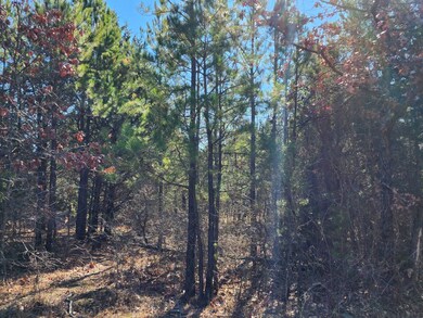 000 Oklahoma 63, Talihina, OK 74571 - photo 4