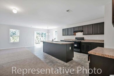 412 Ballycastle St unit Lot 59, Conway, SC 29526 - photo 4