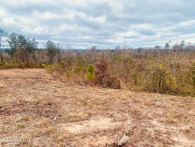 0 Saint Anne Rd, Carthage, MS 39051 - photo 6