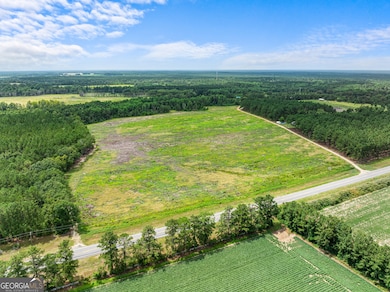 APPRX 34.2 ACRE Highway 301 N, Statesboro, GA 30458 - photo 4