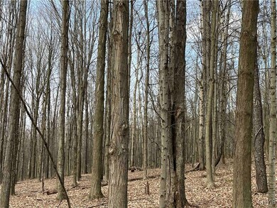 8477 Hudson Rd, Wayland, NY 14572 - photo 3