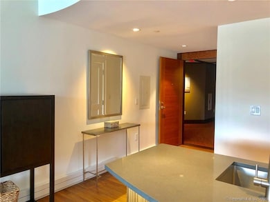 The entrance. Furnishings are from a prior tenant.