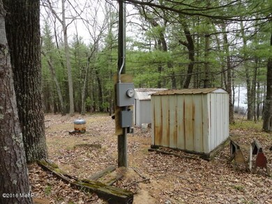 1646 W Bass Lake Dr, Bitely, MI 49309 - photo 5