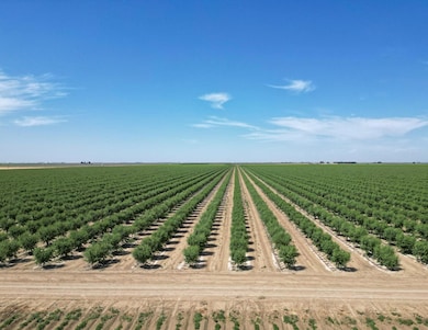 0 Lassen Ave unit 624993, Five Points, CA 93624 - photo 3