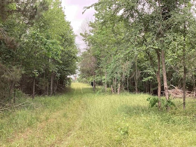 1006 Hempstead 24 Rd, Blevins, AR 71825 - photo 7