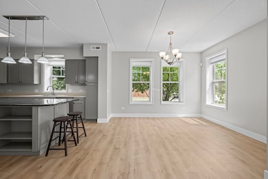 133 W Palatine Rd unit 107A, Palatine, IL 60067 - photo 6