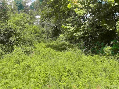 419 N Corry Field Rd, Pensacola, FL 32506 - photo 4