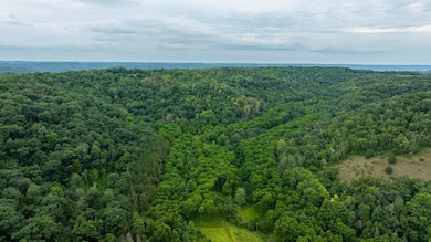 0 Leykom Rd, Waumandee, WI 54622 - photo 5