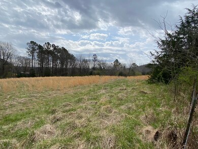 0 Case Rd, Prospect, TN 38477 - photo 3