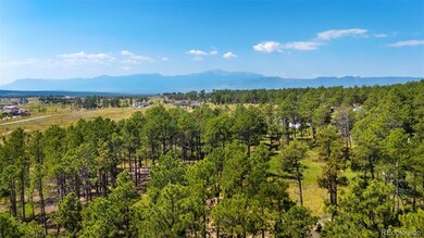 6225 Vessey Rd, Colorado Springs, CO 80908 - photo 3