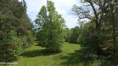 00 Eastview Rd, Eastview, KY 42732 - photo 5