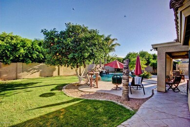 Backyard III
