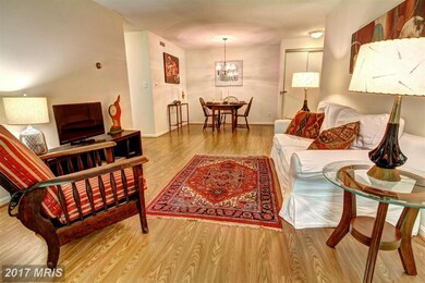 5825 Cove Landing Rd unit 203, Burke, VA 22015 - photo 6