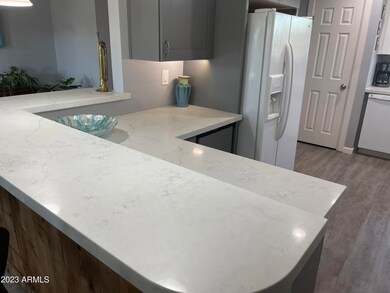 10218 W Mission Ln, Sun City, AZ 85351 - photo 6