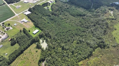 0 Highway 521 unit Lot B, Greeleyville, SC 29056 - photo 7