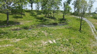 0 Hwy 437 Horse Mountain Rd unit RTC2387818, Wartrace, TN 37183 - photo 7