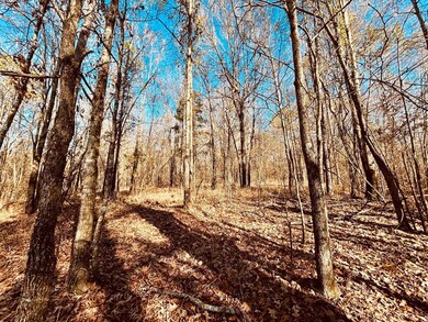 Hwy 12, Durant, MS 39063 - photo 7