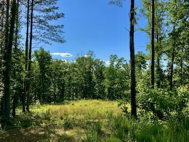 0 Bear Hollow Rd unit RTC2817202, Waverly, TN 37185 - photo 3