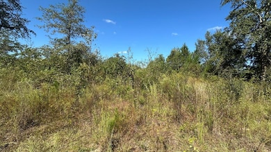 0 Waynesboro Hwy unit 25177409, Sylvania, GA 30467 - photo 4