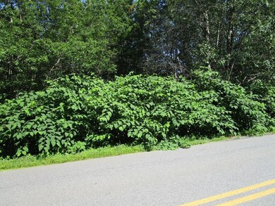 Land/Lot