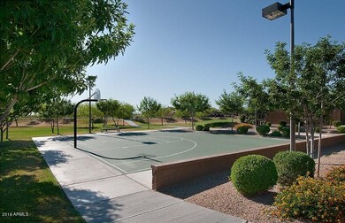 BASKETBALL COURTS