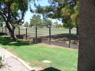 Another View From Front Door