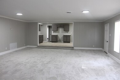 Unfurnished living room with crown molding, plenty