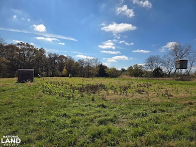 16706 481st St, Mystic, IA 52574 - photo 3