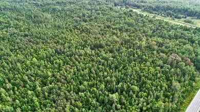 maine-land-wooded-timber-ae