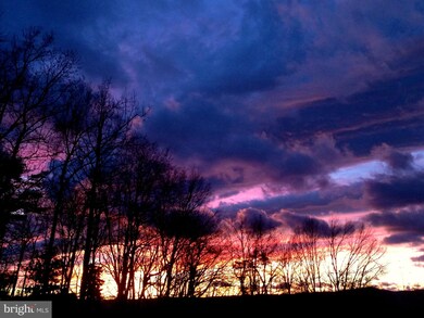 5462 Browntown Rd, Front Royal, VA 22630 - photo 4