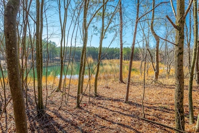 Peek-a-boo pond view