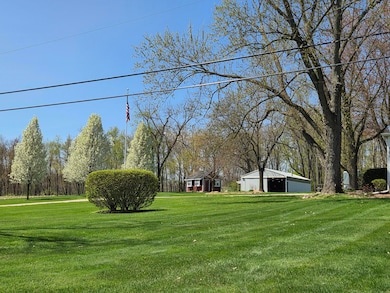 Tree-lined Drive
