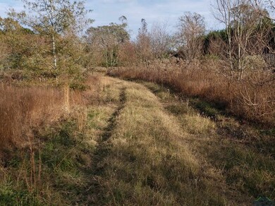 TBD Cr 122 E, Nacogdoches, TX 75695 - photo 5
