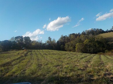 0 Calloway Rd, Rutledge, TN 37861 - photo 6