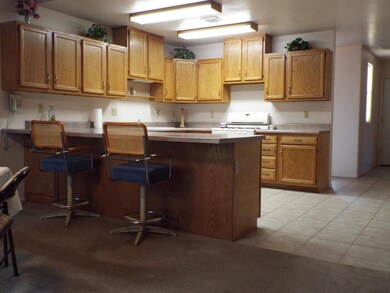 RANDOM KITCHEN