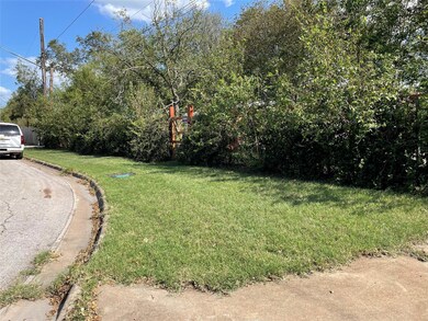 View of green lawn